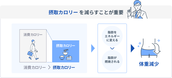 摂取カロリーを減らすことが重要 消費カロリー > 摂取カロリー 脂肪をエネルギーに変える > 脂肪が燃焼される 体重減少