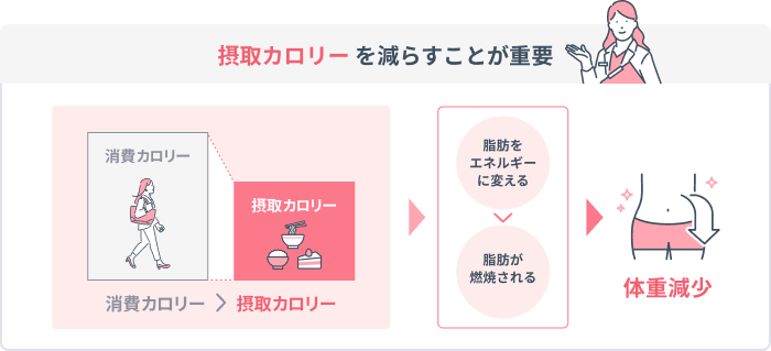 摂取カロリーを減らすことが重要 消費カロリー > 摂取カロリー 脂肪をエネルギーに変える > 脂肪が燃焼される 体重減少
