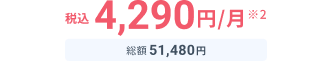税込4,290円※2 総額51,480円