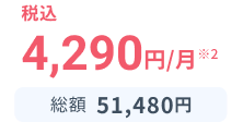 税込4,290円※2 総額51,480円