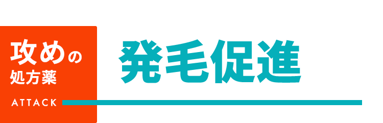 攻めの処方薬 発毛促進