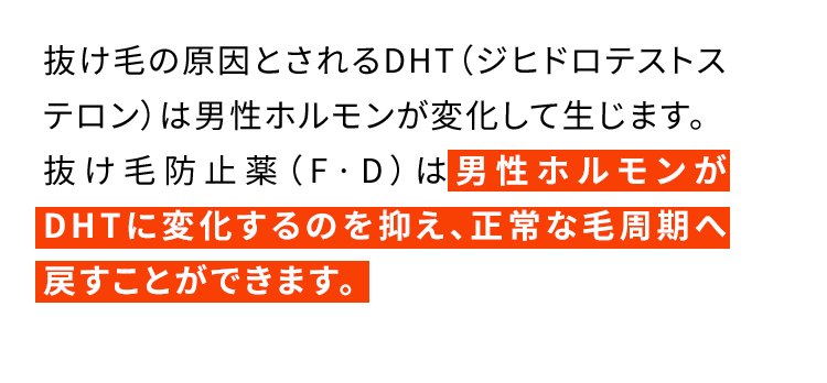 抜け毛の原因とされるDHT（ジヒドロテストステロン）は男性ホルモンが変化して生じます。抜け毛防止薬（F·D）は男性ホルモンがDHTに変化するのを抑え、正常な毛周期へ戻すことができます。