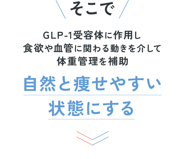 そこでGLP-1受容体に作用し食欲や血管に関わる動きを介して体重管理を補助自然と痩せやすい状態にする