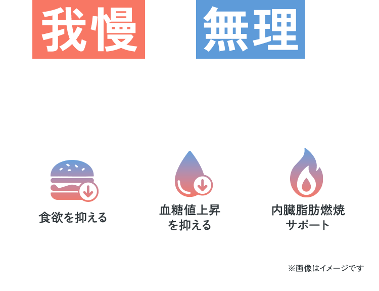 我慢も無理も減らせる！食欲を抑える 血糖値上昇を抑える 内臓脂肪燃焼サポート