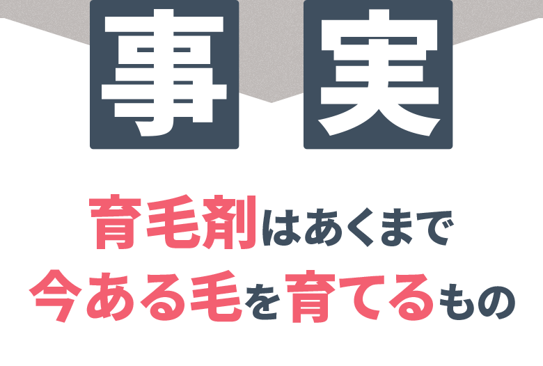 事実:育毛剤はあくまで今ある毛を育てるもの