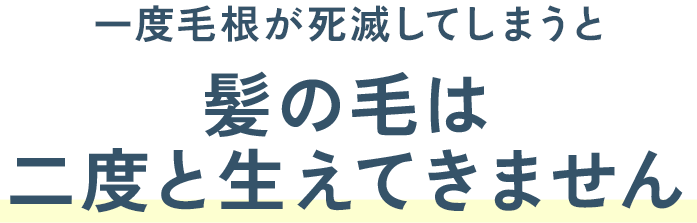 一度毛根が死滅してしまうと、髪の毛は二度と生えてきません