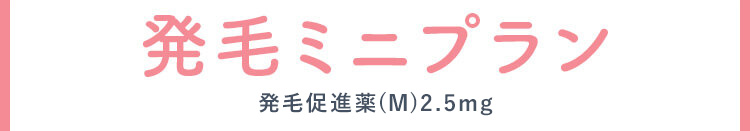 発毛ミニプラン ミノキシジルタブレット2.5mg（内服薬）