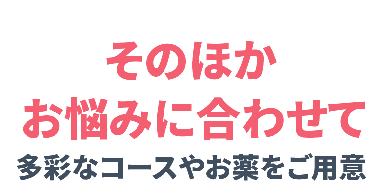 そのほか お悩みに合わせて多彩なコースやお薬をご用意