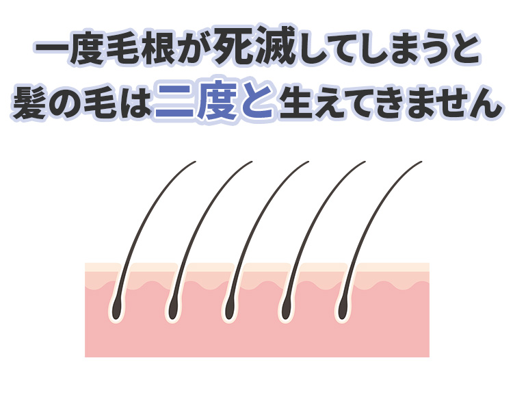 イラスト・毛根