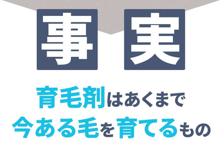 事実:育毛剤はあくまで今ある毛を育てるもの