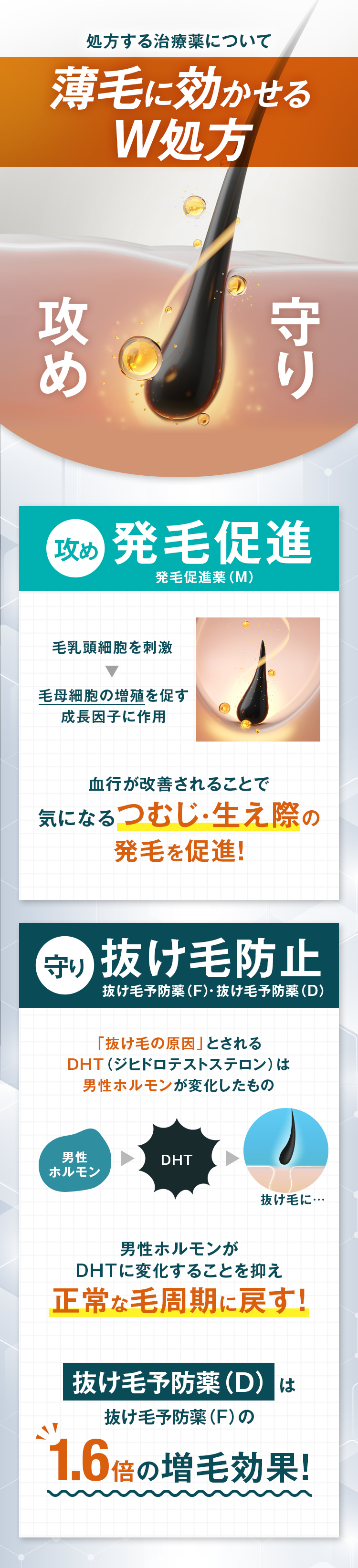 薄毛に効かせるW処方