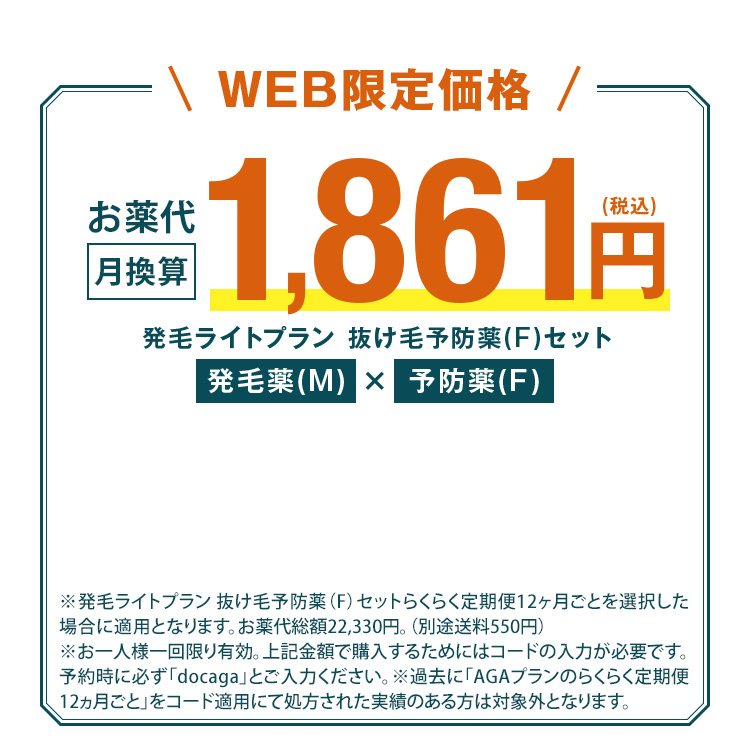 WEB限定価格 月々1,861円
