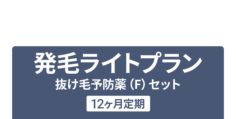 発毛を実感したい方：発毛ライトプラン12ヶ月定期