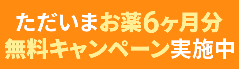 ただいま6ヶ月無料キャンペーン実施中