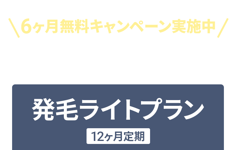 6ヶ月無料キャンペーン実施中 発毛を実感したい方：発毛ライトプラン12ヶ月定期