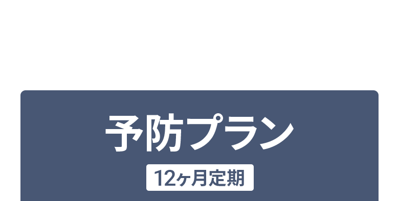 抜け毛を予防したい方：予防プラン12ヶ月定期