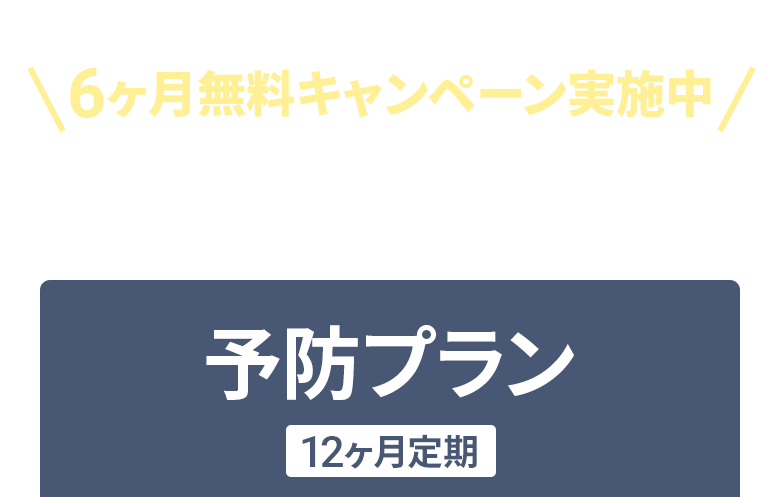 6ヶ月無料キャンペーン実施中 抜け毛を予防したい方：予防プラン12ヶ月定期