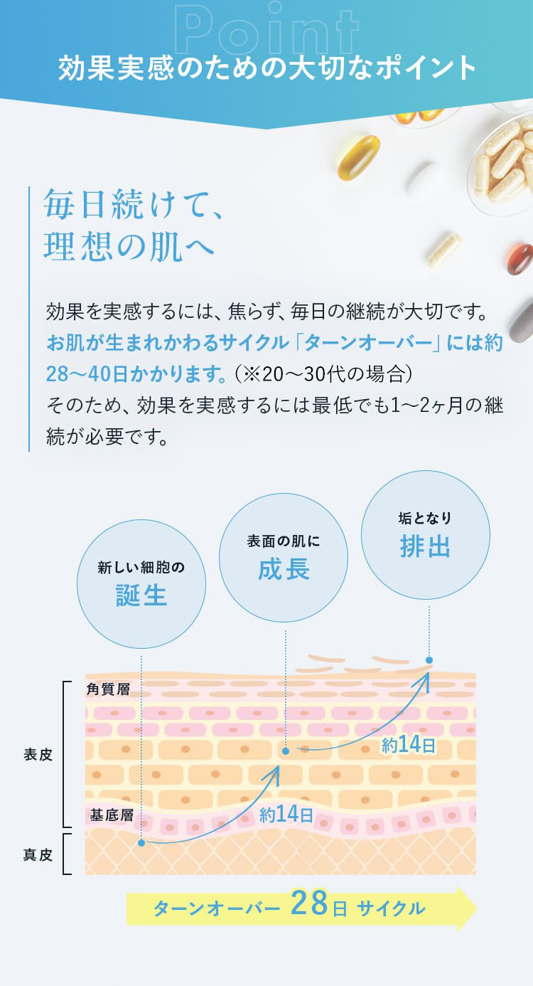 効果実感のための大切なポイント 毎日続けて、理想の肌へ 効果を実感するには、焦らず、毎日の継続が大切です。お肌が生まれかわるサイクル「ターンオーバー」には約28～40日かかります。そのため、効果を実感するには最低でも1～2ヶ月の継続が必要です。