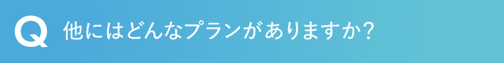 他にはどんなプランがありますか？