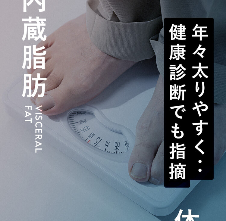 内蔵脂肪