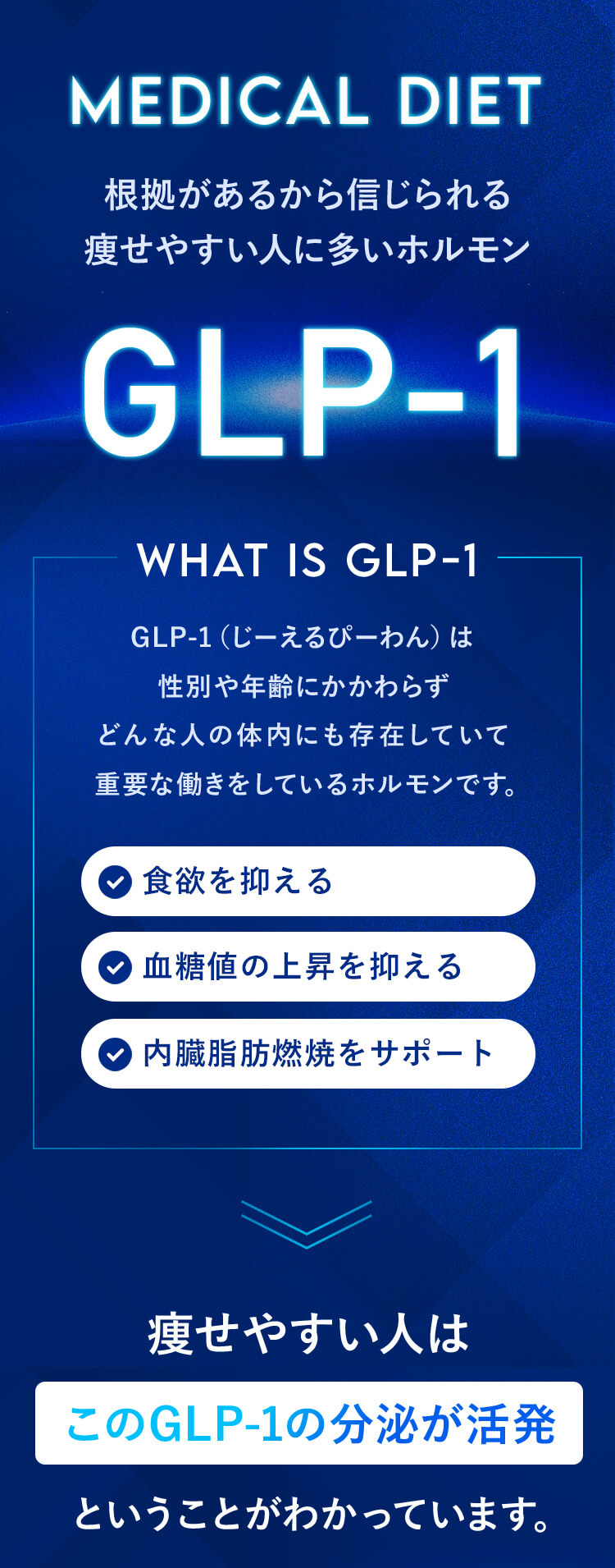 根拠があるから信じられる痩せやすい人に多いホルモン