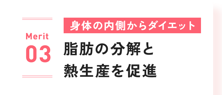 Merit 03：身体の内側からダイエット 脂肪の分解と熱生産を促進