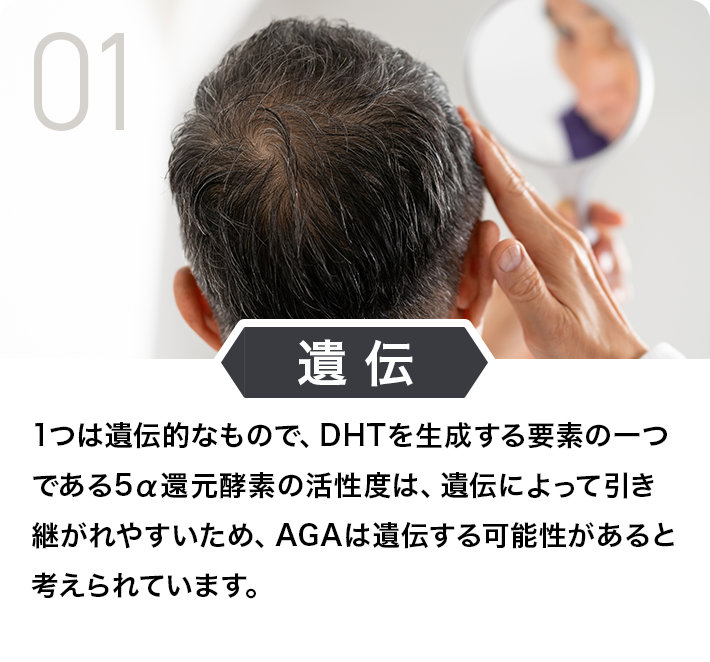 遺伝
