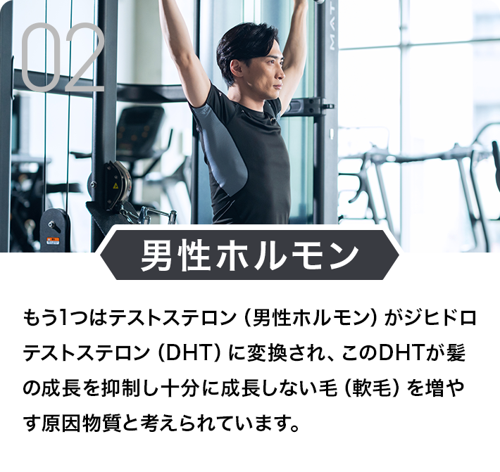 男性ホルモン