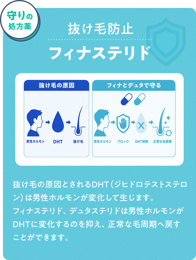 守りの処方薬 抜け毛防止フィナステリド 抜け毛の原因とされるDHT（ジヒドロテストステロン）は男性ホルモンが変化して生じます。フィナステリド、デュタステリドは男性ホルモンがDHTに変化するのを抑え、正常な毛周期へ戻すことができます。