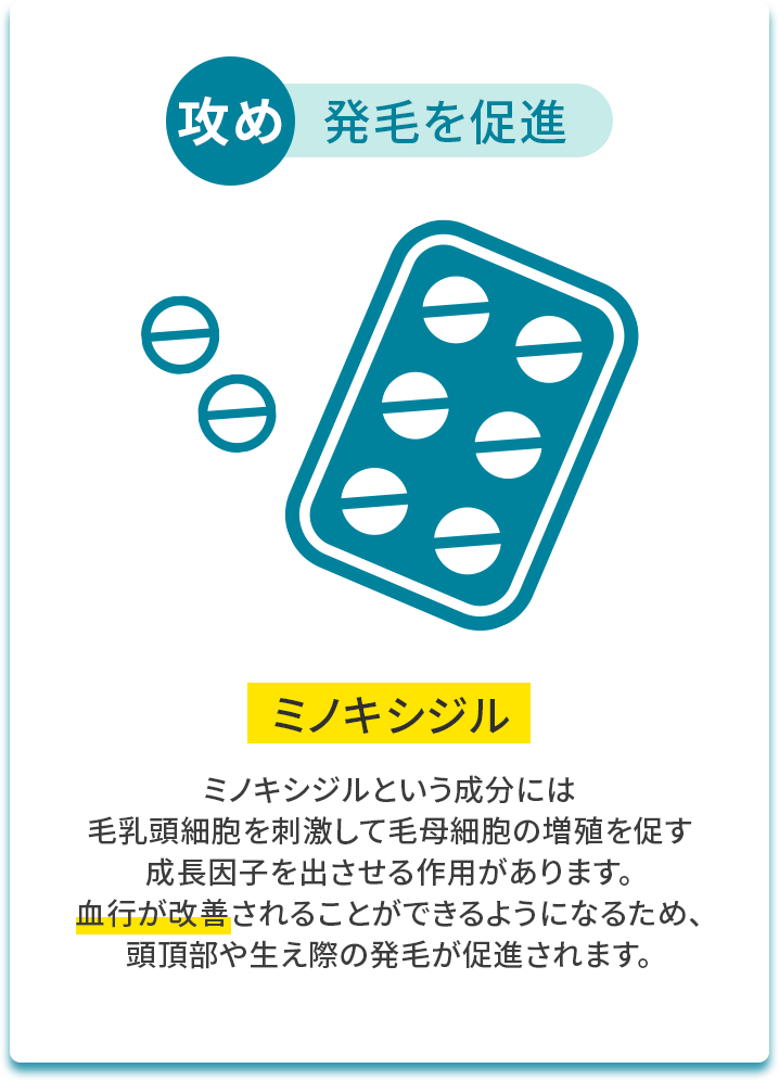 攻め 発毛を促進 ミノキシジル