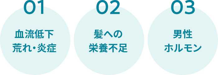01血流低下荒れ炎症 02髪への栄養不足 03男性ホルモン