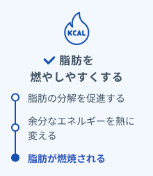 脂肪を燃やしやすくする ・脂肪の分解を促進する・余分なエネルギーを熱に変える・脂肪が燃焼される