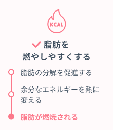 脂肪を燃やしやすくする ・脂肪の分解を促進する・余分なエネルギーを熱に変える・脂肪が燃焼される